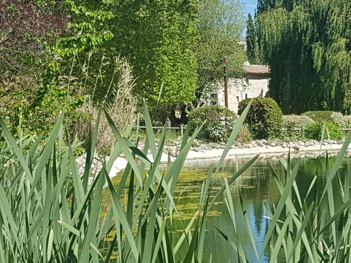 La Campagne St Lazare - Restaurant Chambres D'Hotes Piscine & Spa Forcalquier Exterior foto